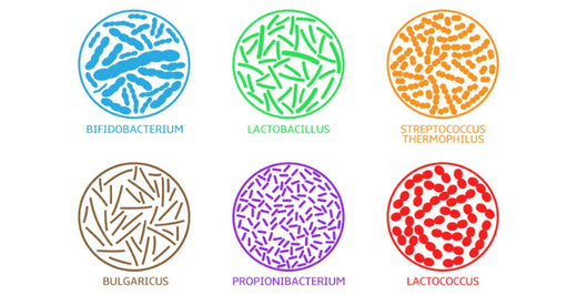 kratom világ probiotikumok eladó kratom hatások adagolás eladó