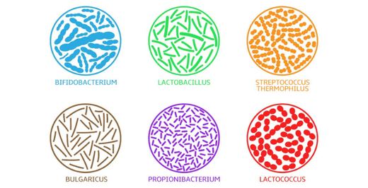 kratom világ probiotikumok eladó kratom hatások adagolás eladó