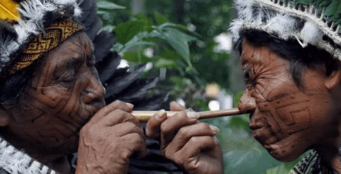 Kratom World Rapé Nicotiana Rustice Selling Hungary Budepest Debrecén