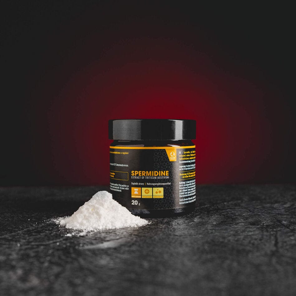 kratom world spermidin spermidine antiaging antioxidáns metabolizmus eladás kratomworld